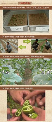 调节三效合一的甲壳素有机水溶肥,信得泰诺